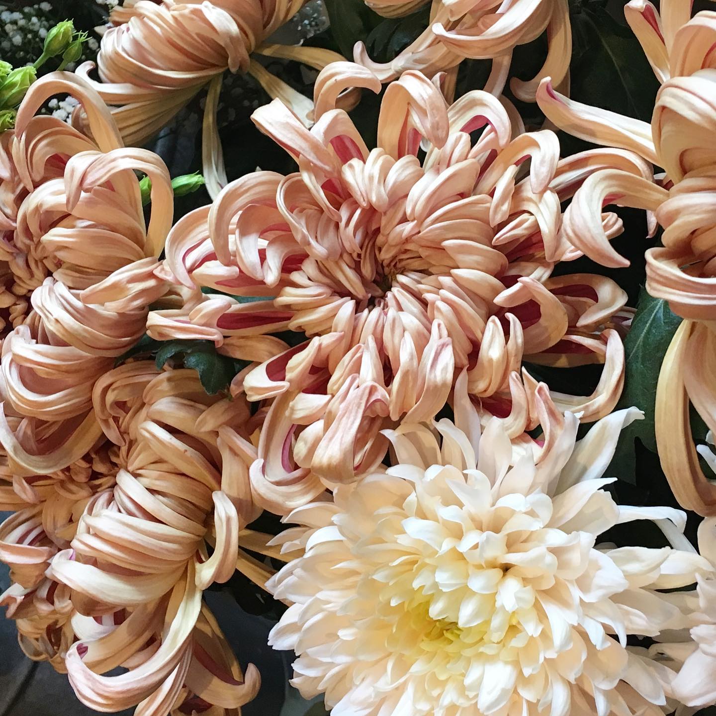 Galerie Bouquets Compositions - 250926976_378864763768820_973216312998369778_n - acanthe.net