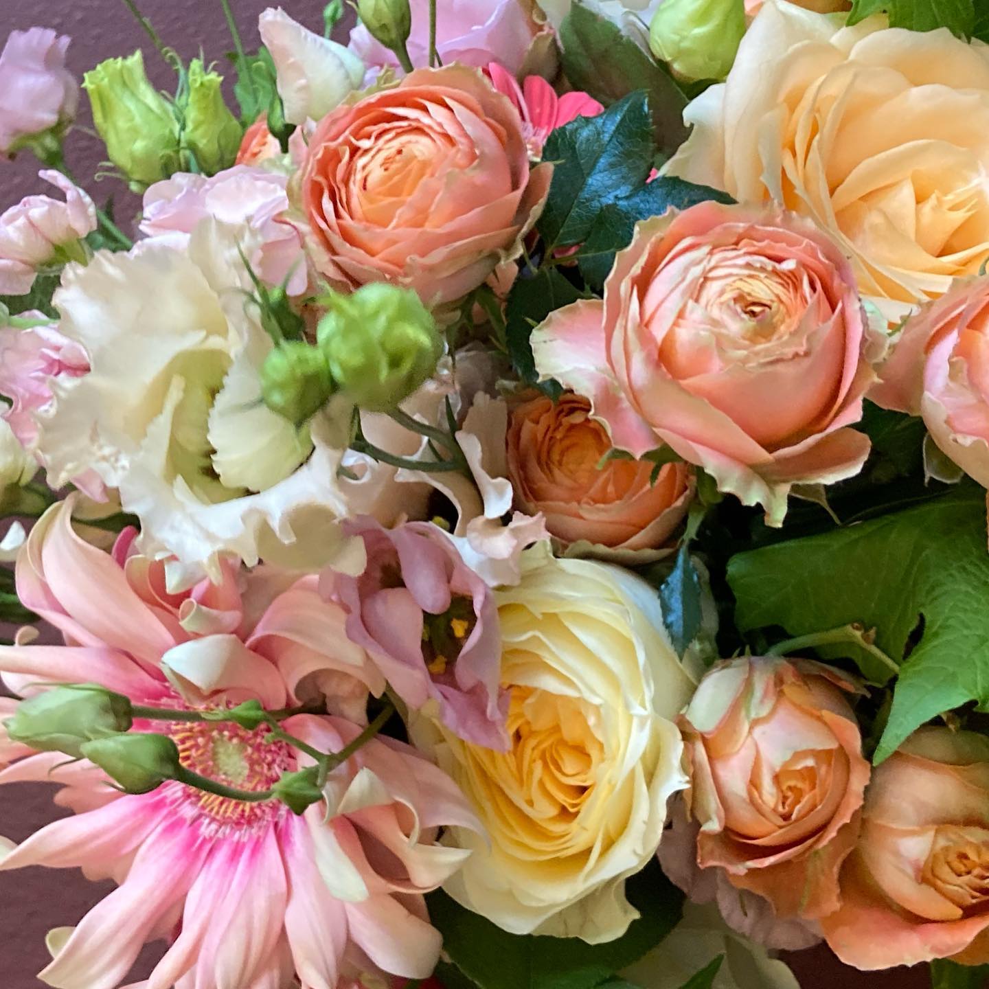 Galerie Bouquets Compositions - 281915498_511102493878379_7762387229972933291_n - acanthe.net